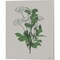 Line Botanical by Kyra Brown 12" x 15" Canvas Wall Art (Set of 2)